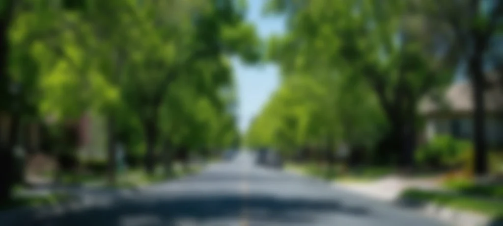 Same day Couriers Service